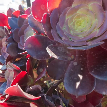 Atico Jimena Granada En El Centro De Appartement