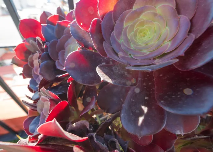 Atico Jimena Granada En El Centro De Appartement