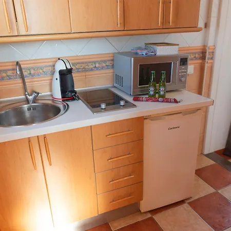 Atico Jimena Granada En El Centro De *